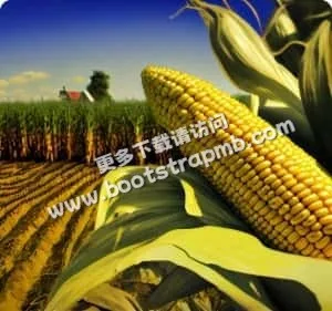 致力于为玩家提供最权威的游戏信息 - 多多282