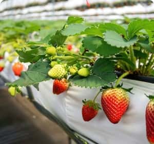 致力于为玩家提供最权威的游戏信息 - 多多282